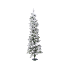 Bor Pencil pine snježni mini 90 cm
