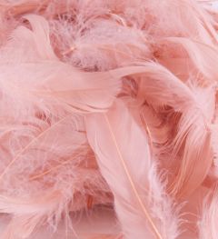 Perje Rose Gold 50g