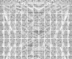 Panel Zavjesa Stars Metallic Silver