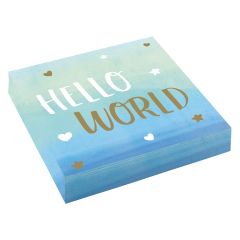 Oh Baby Boy salvete 33x33cm
