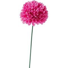 Karanfil 53cm fuksija 1kom