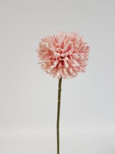 Krizantema 60cm pink 1kom