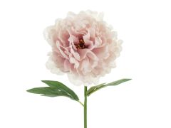 Umjetni cvijet Peonija (božur) pale pink 35 cm