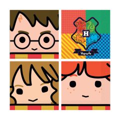 Harry Potter salvete 33x33 cm