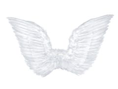 Angel Wings white  75 x 45cm